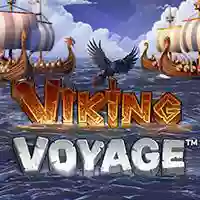 Viking Voyage