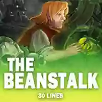 The Beanstalk