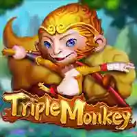 Triple Monkey