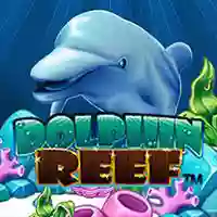 DOLPHIN REEF