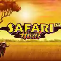 SAFARI HEAT