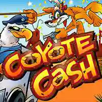 Coyote Cash