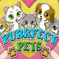 Purrfect Pets