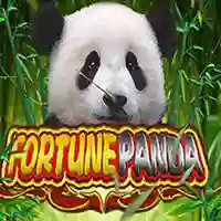 Fortune Panda