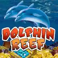 Dolphin Reef