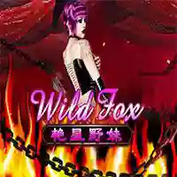 Wild Fox